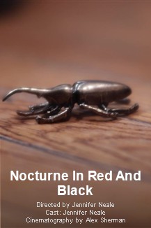 Nocturne In Red And Black